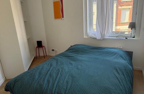 Centre Apartment | Bel appartement rénové entièrement - métro - proche Lille centre
