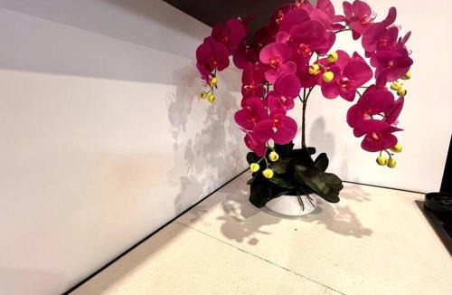 Solihull Villa | Bel Casa Solihull