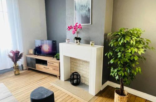 Dernier Sou Apartment | « Bel’ Epoque » proche vieille ville 6 pers, WIFI