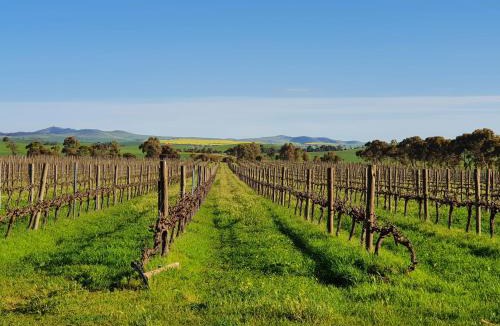 Jamestown House | Belalie Wines