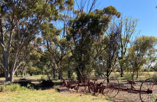 Jamestown House | Belalie Wines