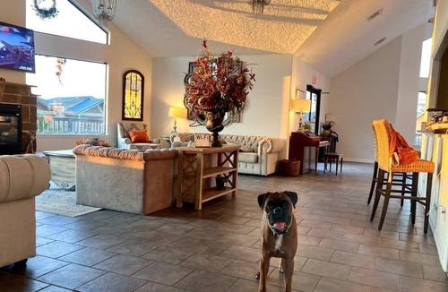 Willis House | Belas Resort Tiny Home #100