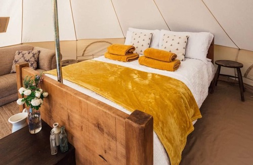 Crediton Cabin | Bell Tent - in a glorious Devon vineyard