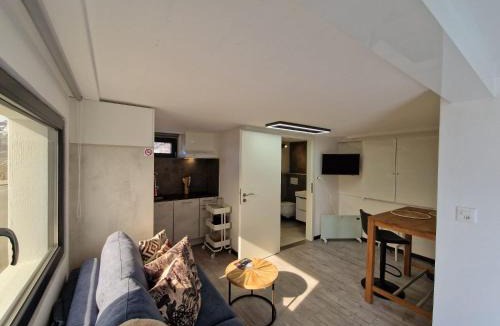 Chandolin-près-Savièse Apartment | Bella & Flocon & Carnotzet Private Pool & Spa Min 1 Week Saturday to Saturday