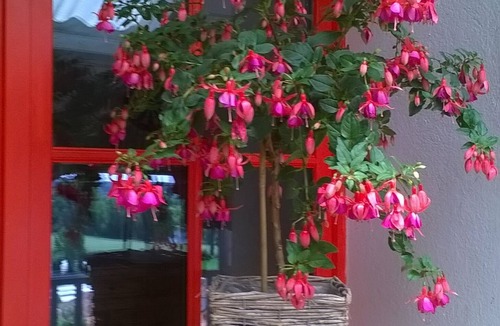 Aubeterre-sur-Dronne House | Bella Vista