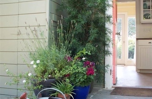 Belvedere Tiburon House | Bella Vista : Peaceful, Relaxing, and Comfortable, 30 - 60 day stays only