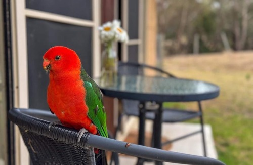 Bellbrae Cottage | Bellbrae Mudbrick Love Shack