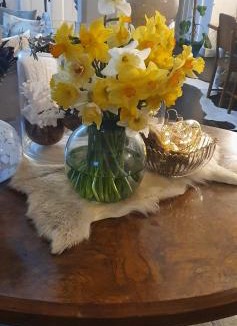 Takapau Bed & Breakfast | Belle Ame