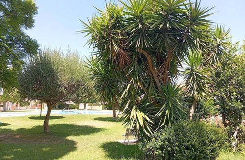 Playa de San Juan House | Belle Location Vacance Espagne A 10 MN DE LA Plage