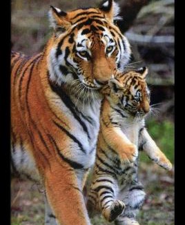 Coulommiers House | Belle maison conviviale