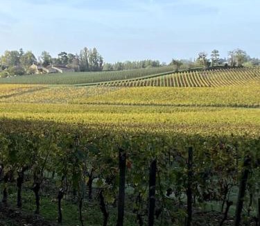 Lussac Villa | Belle maison de charme