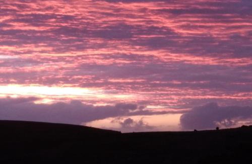 Wirrina Cove Apartment | Belle Vista