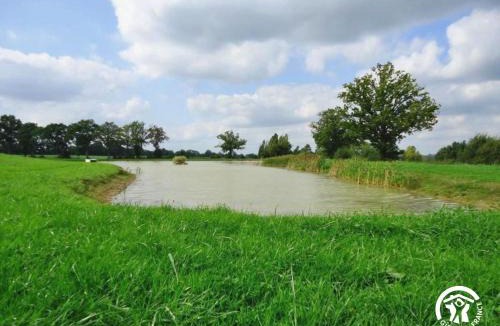 Mayenne House | Belle Vue