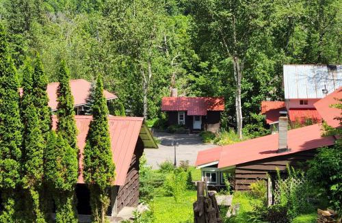 Pine Hill Cabin | Belleayre Lodge