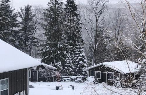 Pine Hill Cabin | Belleayre Lodge