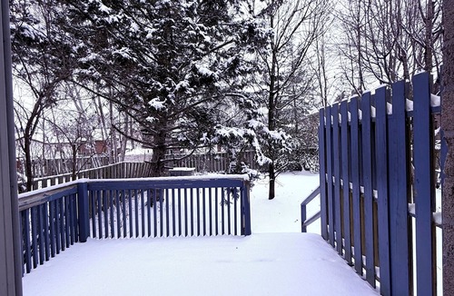 Belleville House | Belleville Getaway Big Yard & Comfort