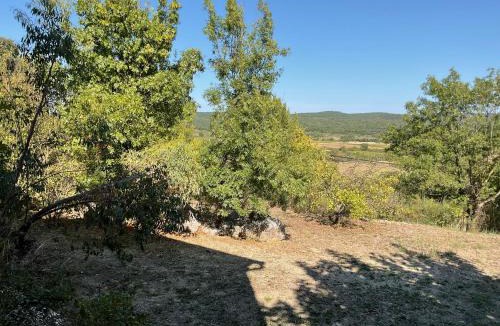 La Boissiere House | Bellevue 1