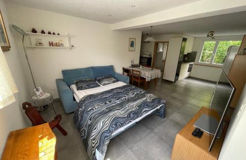 Ringgenberg Apartment | Bellevue Apartment