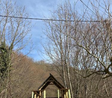 Marchastel House | Bellevue de Terrou with natural pool