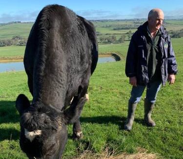 Scotts Creek House | Bellevue Farmstay