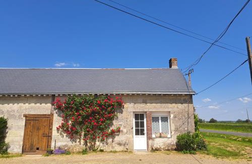 Saint-Paterne-Racan Bed & Breakfast | Bellevue