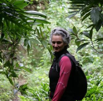 Kelso House | Bellevue Guest House