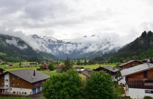 Lenk Apartment | Bellevue Hotel & Apartments