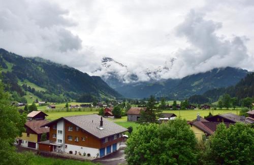 Lenk Apartment | Bellevue Hotel & Apartments