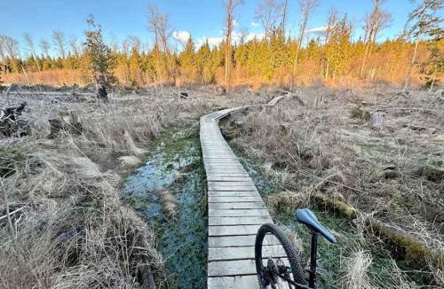 Sudden Valley House | Bellingham A-Frame - Hot tub - Fireplace - Firepit