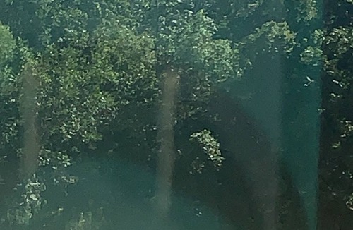 Horn Lake House | Bells Estate