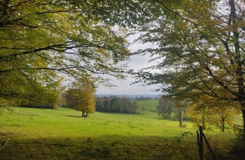 Signy-lAbbaye Bed & Breakfast | BenB La Fosse Bleue