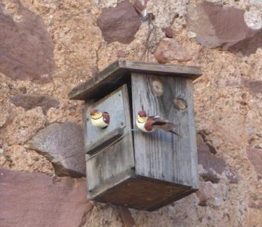 Benicassim House | Beni Qásim 1915