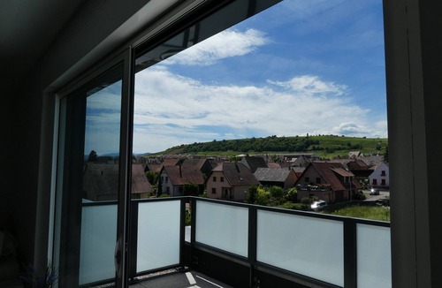 Bennwihr Apartment | BENNWIHR in ALSACE, between RIQUEWIHR, KAYSERSBERG and COLMAR 🔺PROMOTION MAY-JUNE