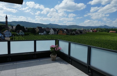 Bennwihr Apartment | BENNWIHR in ALSACE, between RIQUEWIHR, KAYSERSBERG and COLMAR 🔺PROMOTION MAY-JUNE