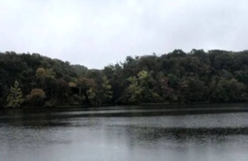 Maysville House | Bentonville area Beautiful Lakefront Property