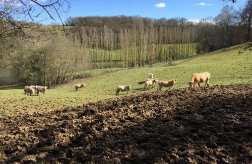 Betracq House | berdoulet