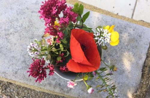 Baladou Bed & Breakfast | Bergerie de Lagarrigue