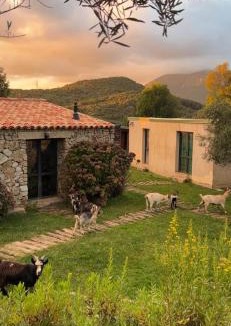 Cauro Bed & Breakfast | Bergerie du Prunelli