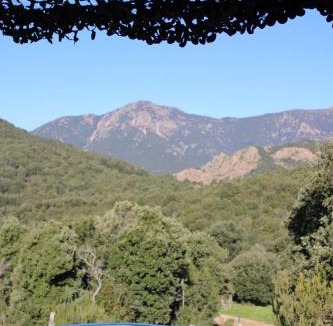 Cauro Bed & Breakfast | Bergerie du Prunelli