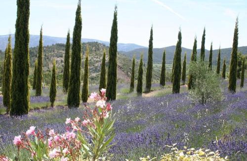 Durban-Corbieres House | Bergerie Marcel