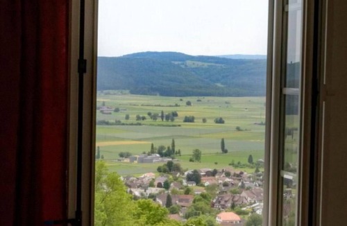 Hallau Apartment | Berghof Hallau grosse Ferienwohnung by Interhome