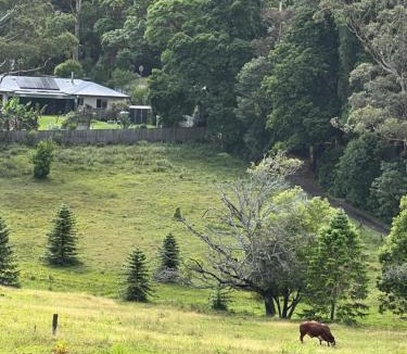 Mount Tamborine Apartment | Berghofen