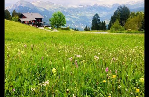 Malix House | Bergpension Battagliahütte