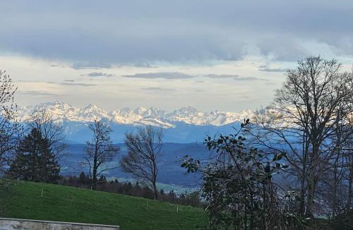 Oberbuchsiten Hotel | Bergrestaurant Tiefmatt
