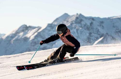 Flims Apartment | Bergstudio III I Flims Laax I Ski I Berg I Gratis Parkplatz
