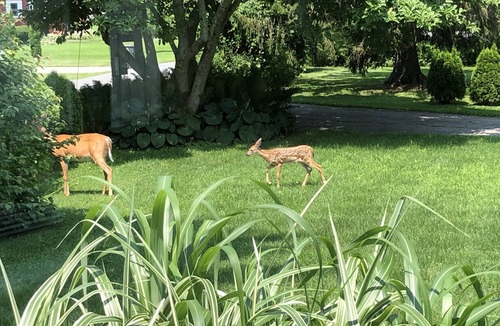 Town of Copake House | Berkshires dream house