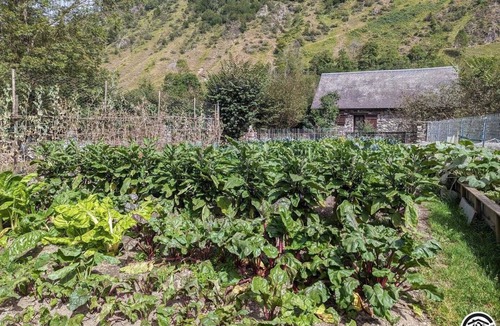 Peyragudes House | Bernadaous - Oô - Gîte