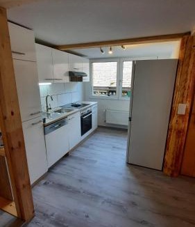 Darligen Apartment | Berner Oberland Am Thunersee