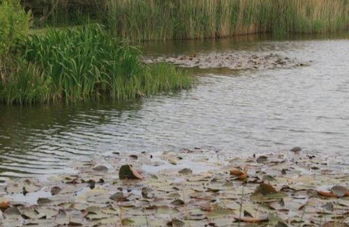Shebbear House | Berry Barns