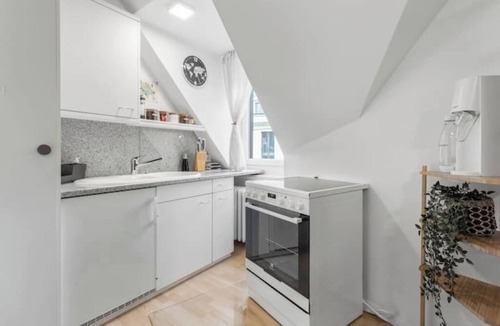 Hottingen Apartment | Best Value | AC | Free Parking | Central Location